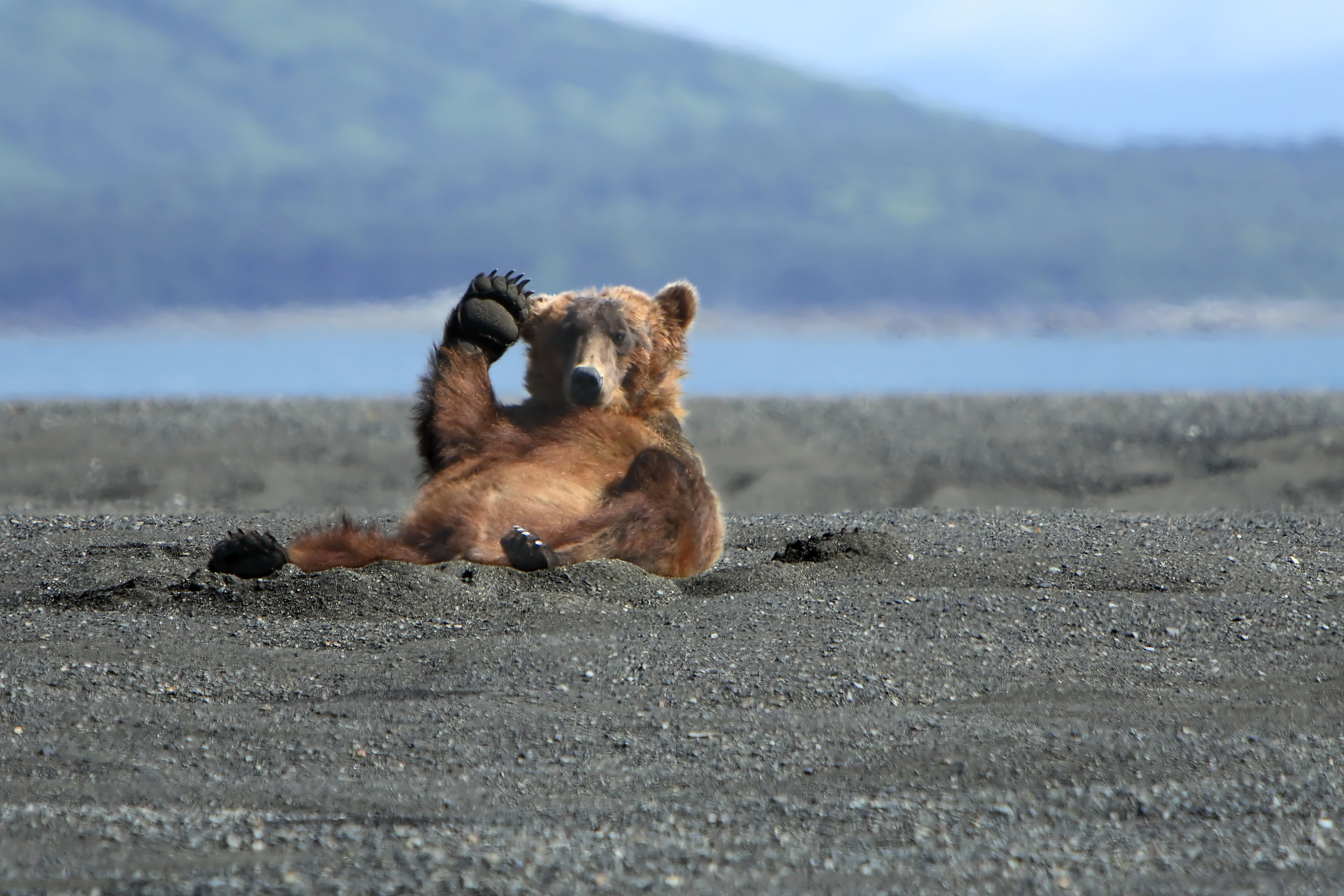 alaska