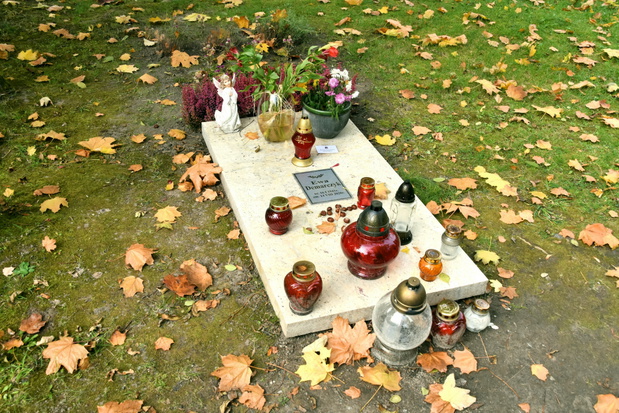 Kraków AlMa