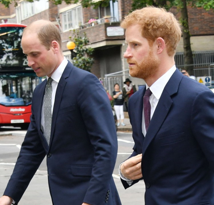 Książę Harry, Książę William, bracia