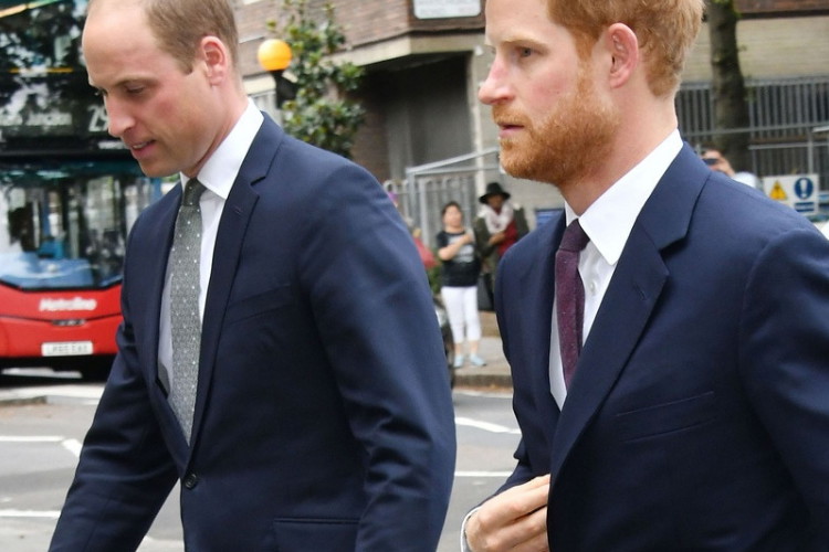 Książę Harry, Książę William, bracia