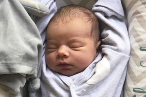 Noah, syn Sary Boruc