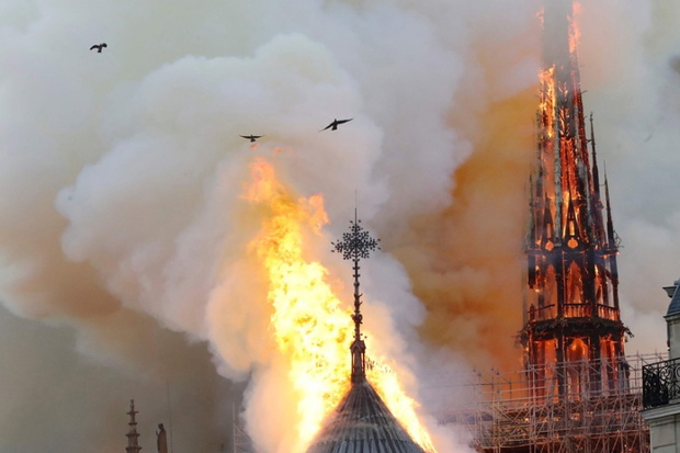 katedra Notre Dame