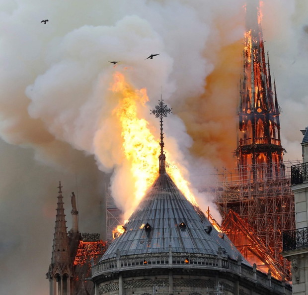 katedra Notre Dame