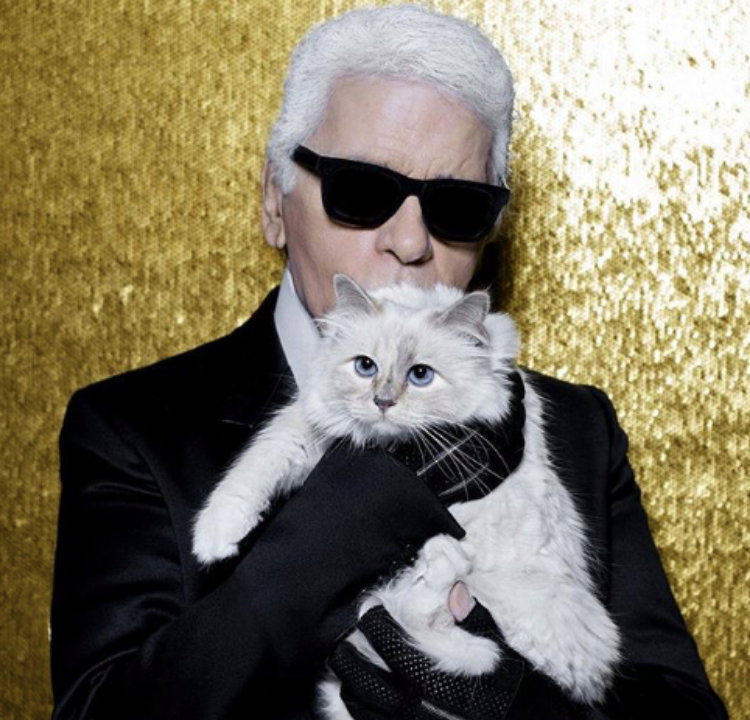 Karl Lagerfeld i kot