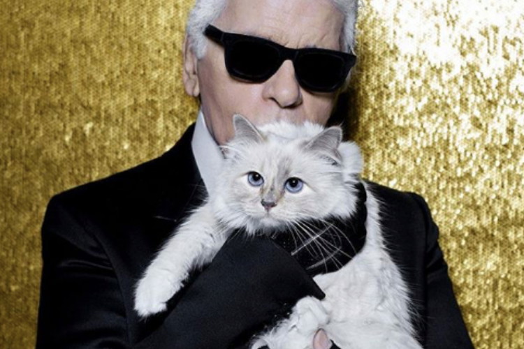 Karl Lagerfeld i kot