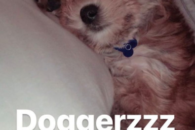 Oscar Bieber, piesek Justina i Hailey