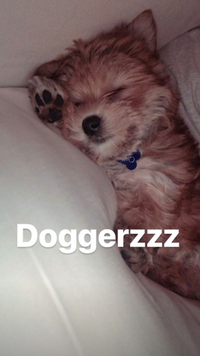 Oscar Bieber, piesek Justina i Hailey