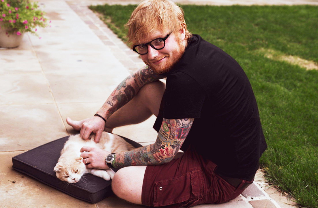 Ed Sheeran wziął ślub