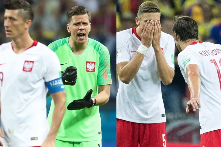 Robert Lewandowski i Wojciech Szczęsny, Grzegorz Krychowiak