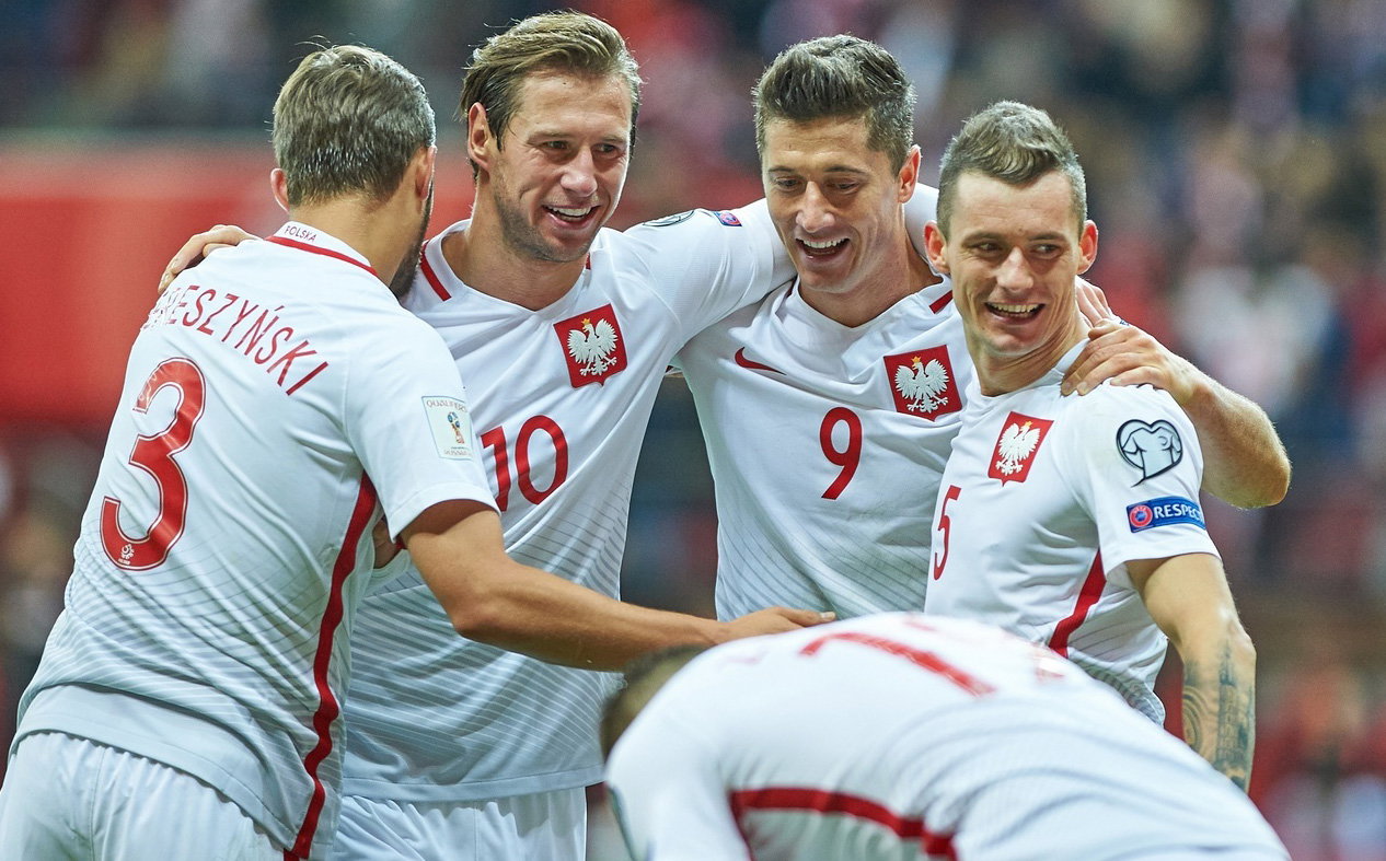 Robert Lewandowski, Grzegorz Krychowiak