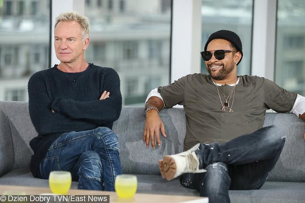 sting-467046-1X700-aac02f7