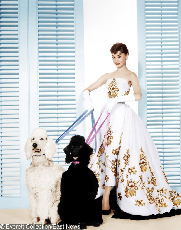 Everett Collection Classic Hollywood Color Images April 2012