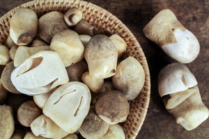 Grzyby słomkowe