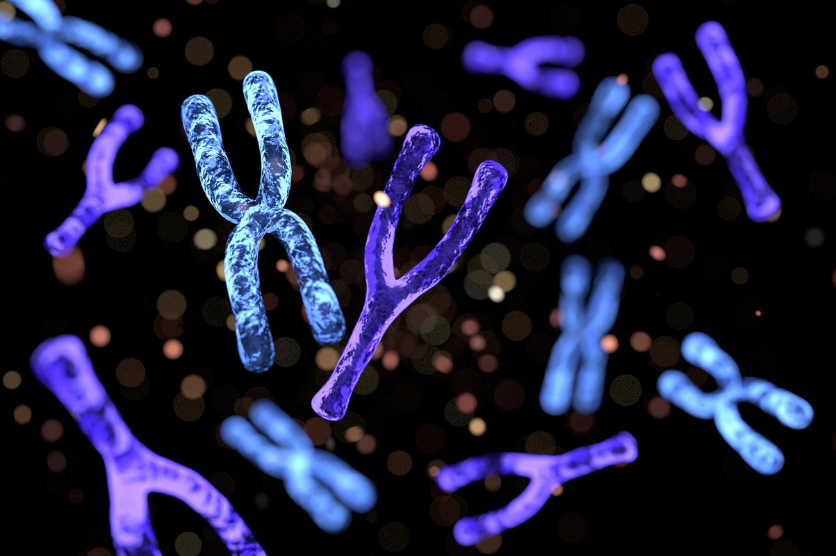 Czym są chromosomy?