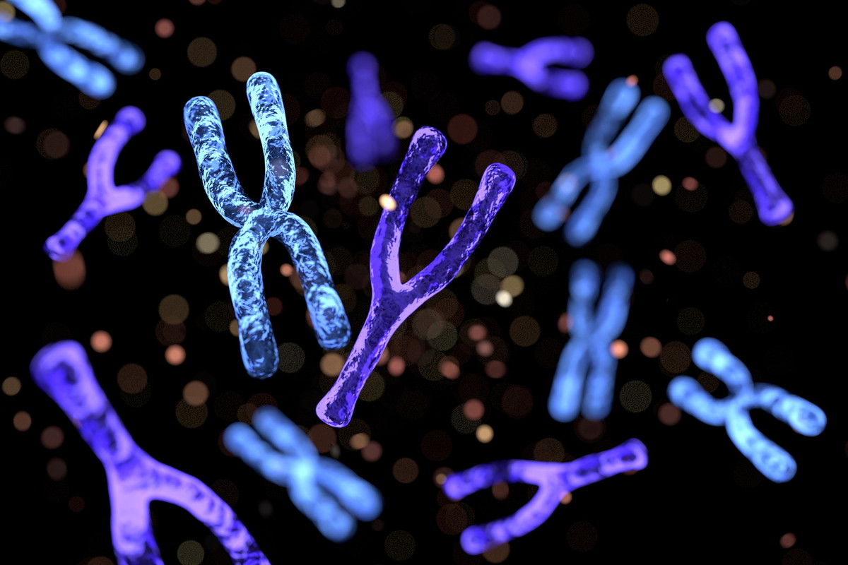 Czym są chromosomy?