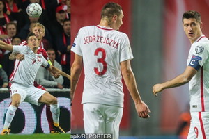 mecz Polska-Dania, Robert Lewandowski