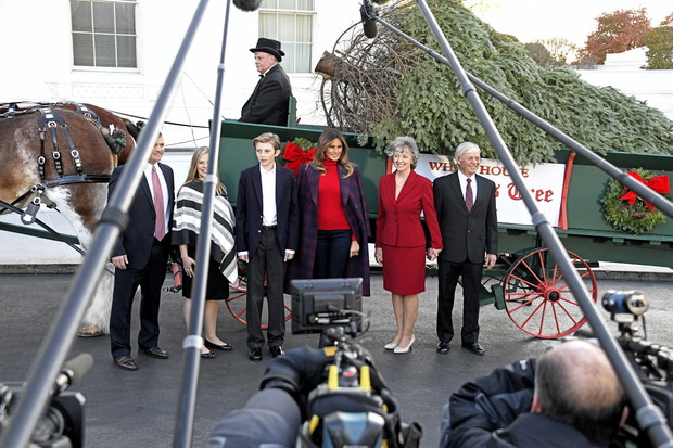 First Lady Melania Trump Accepts the White House Christmas Tree