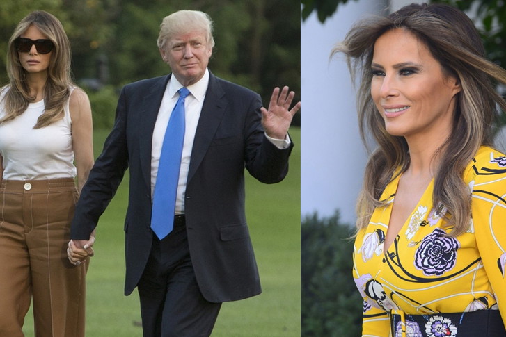 Melania Trump, Donald Trump