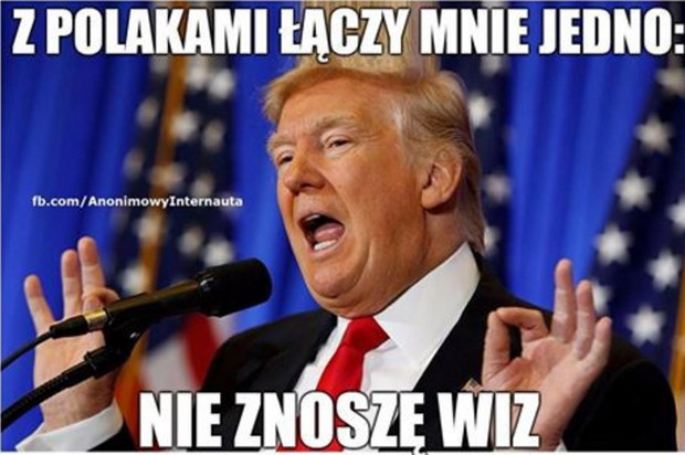 imgZ24J5T-3798e3a
