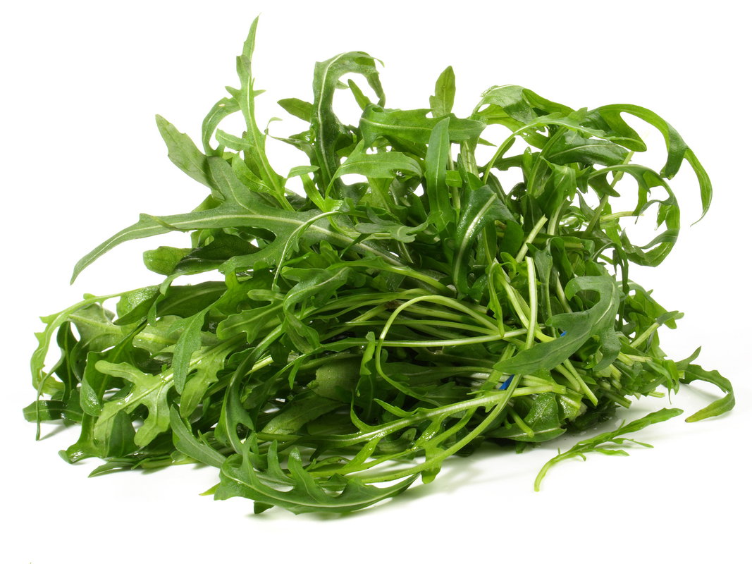 Rukola
