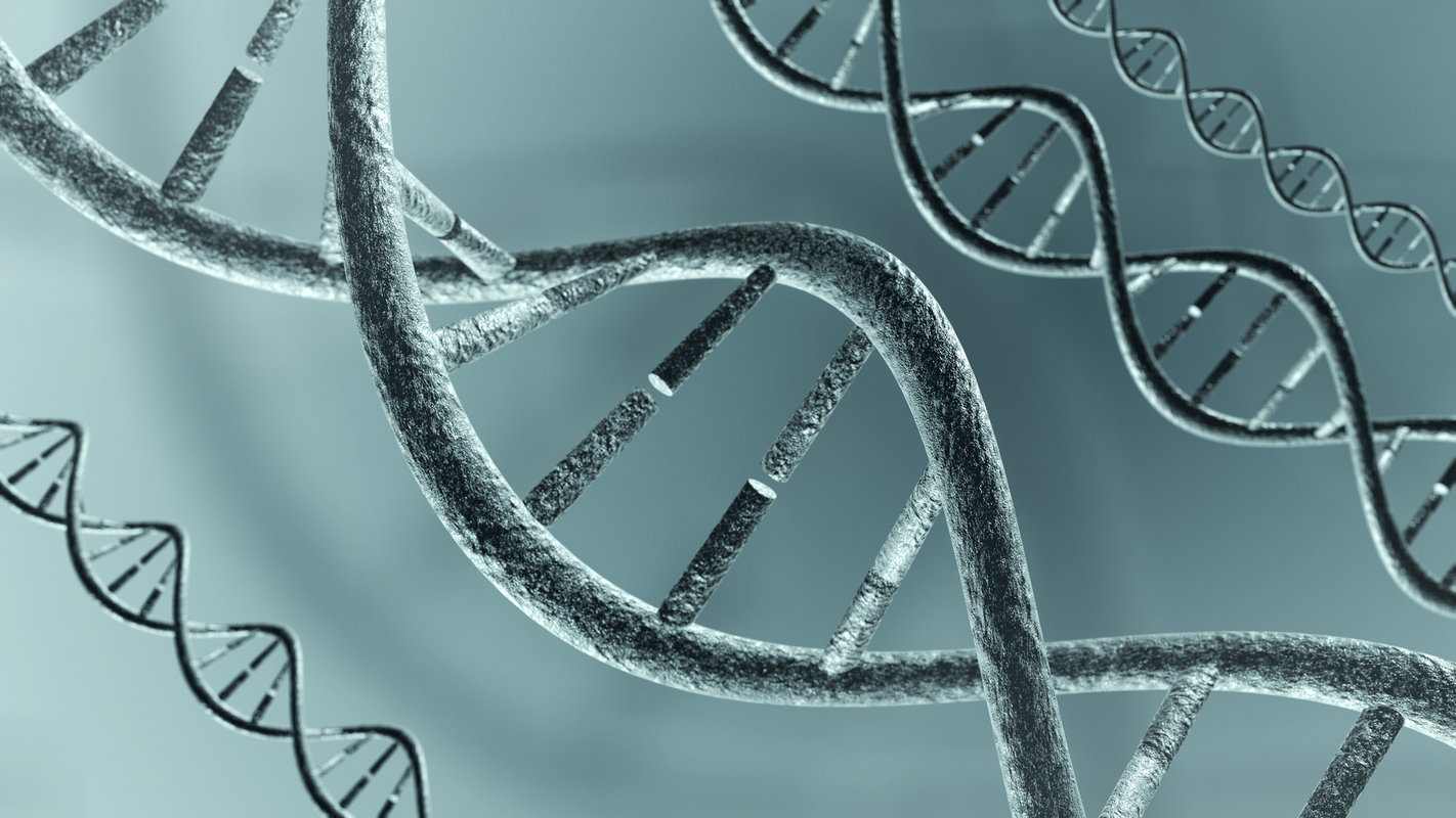 łańcuch DNA