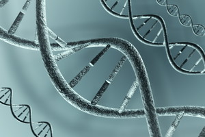 łańcuch DNA