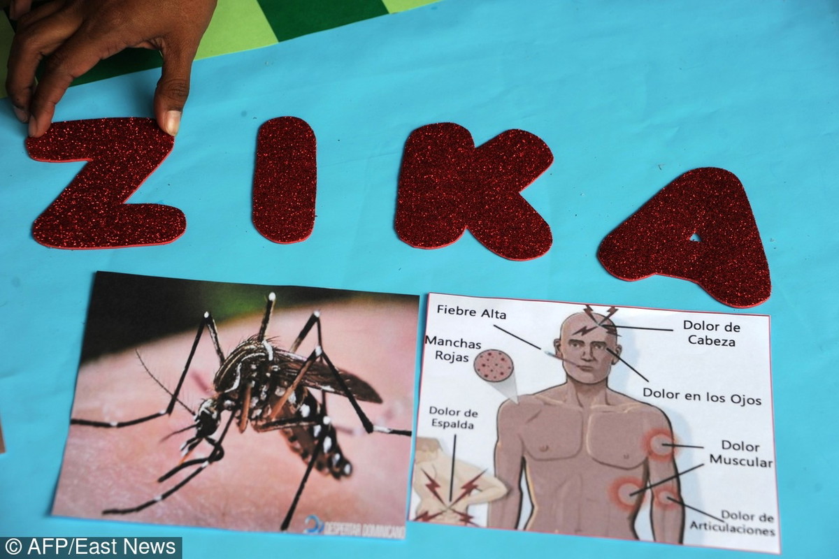 Wirus Zika