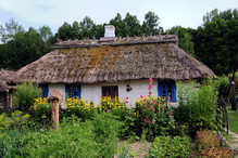 Wiejski ogród