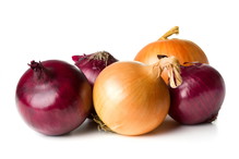 Cebula