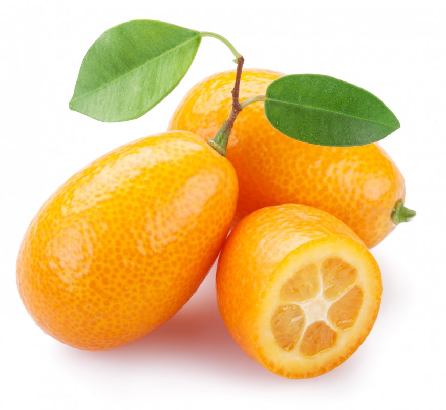 kumkwat