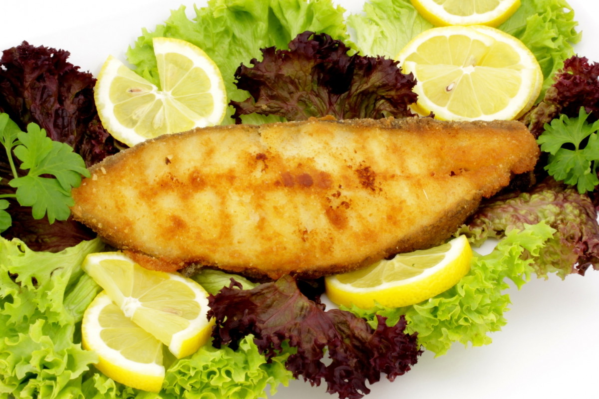 halibut
