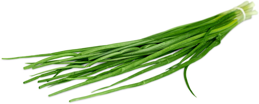 szczypior