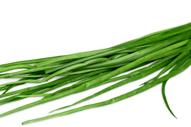 szczypior