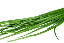 szczypior