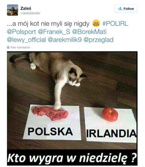 Mecz Polska-Irlandia Mem