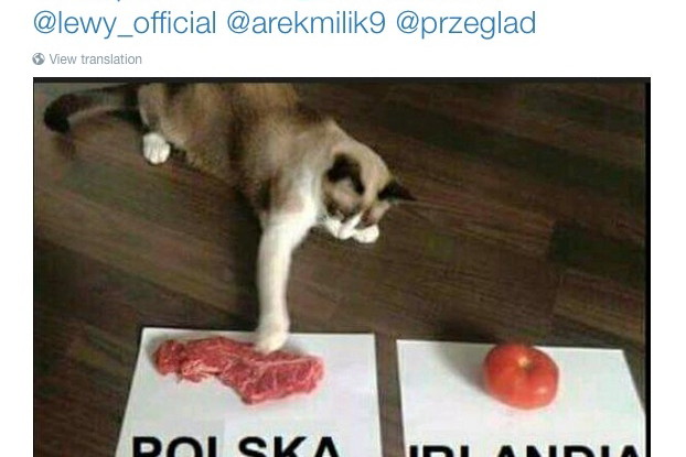Mecz Polska-Irlandia Mem