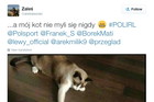 Mecz Polska-Irlandia Mem