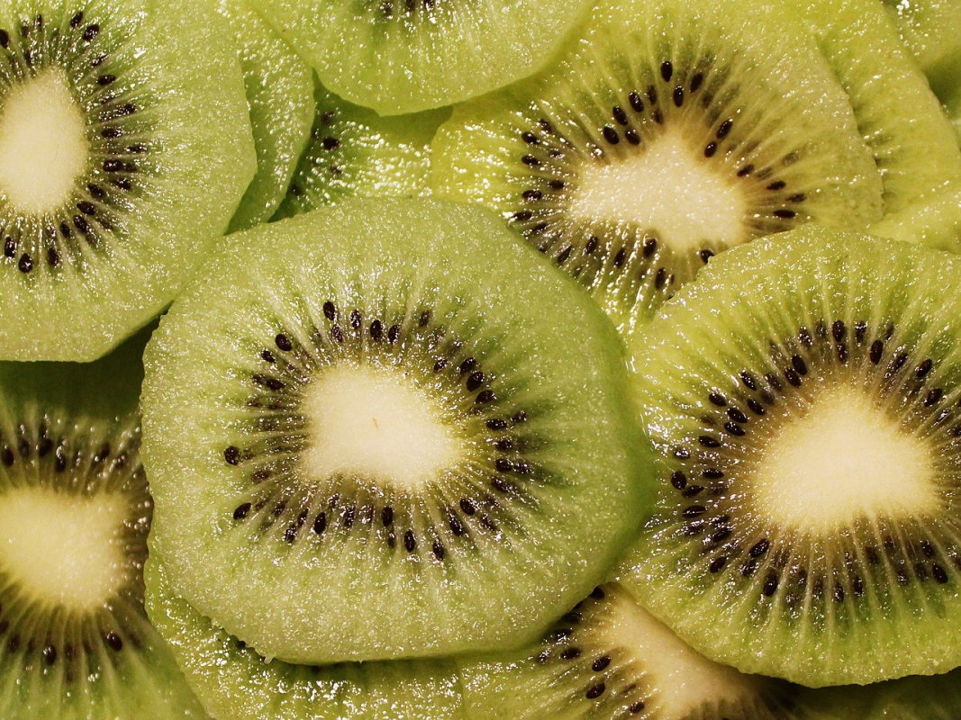 kiwi