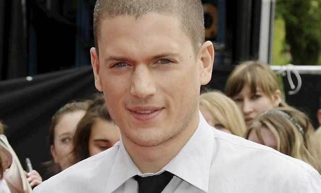 Wentworth Miller jest gejem