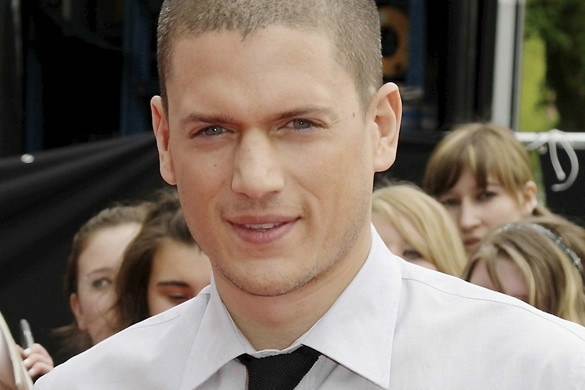 Wentworth Miller jest gejem
