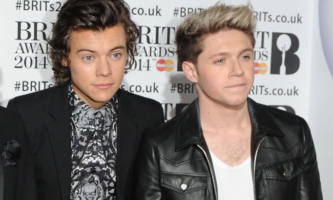 Harry Styles jest biseksualny