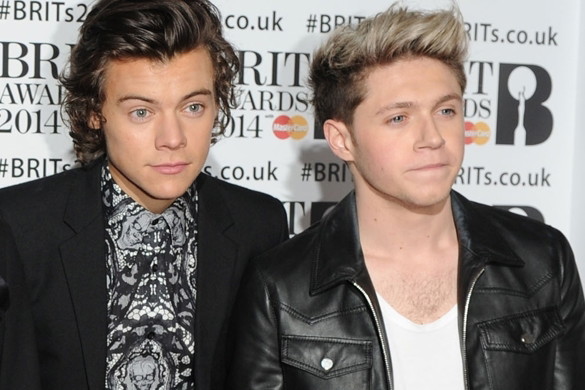 Harry Styles jest biseksualny