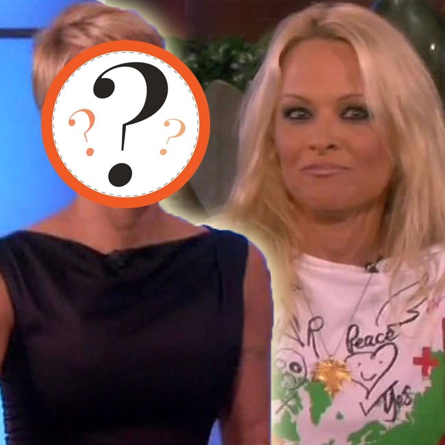 Pamela Anderson