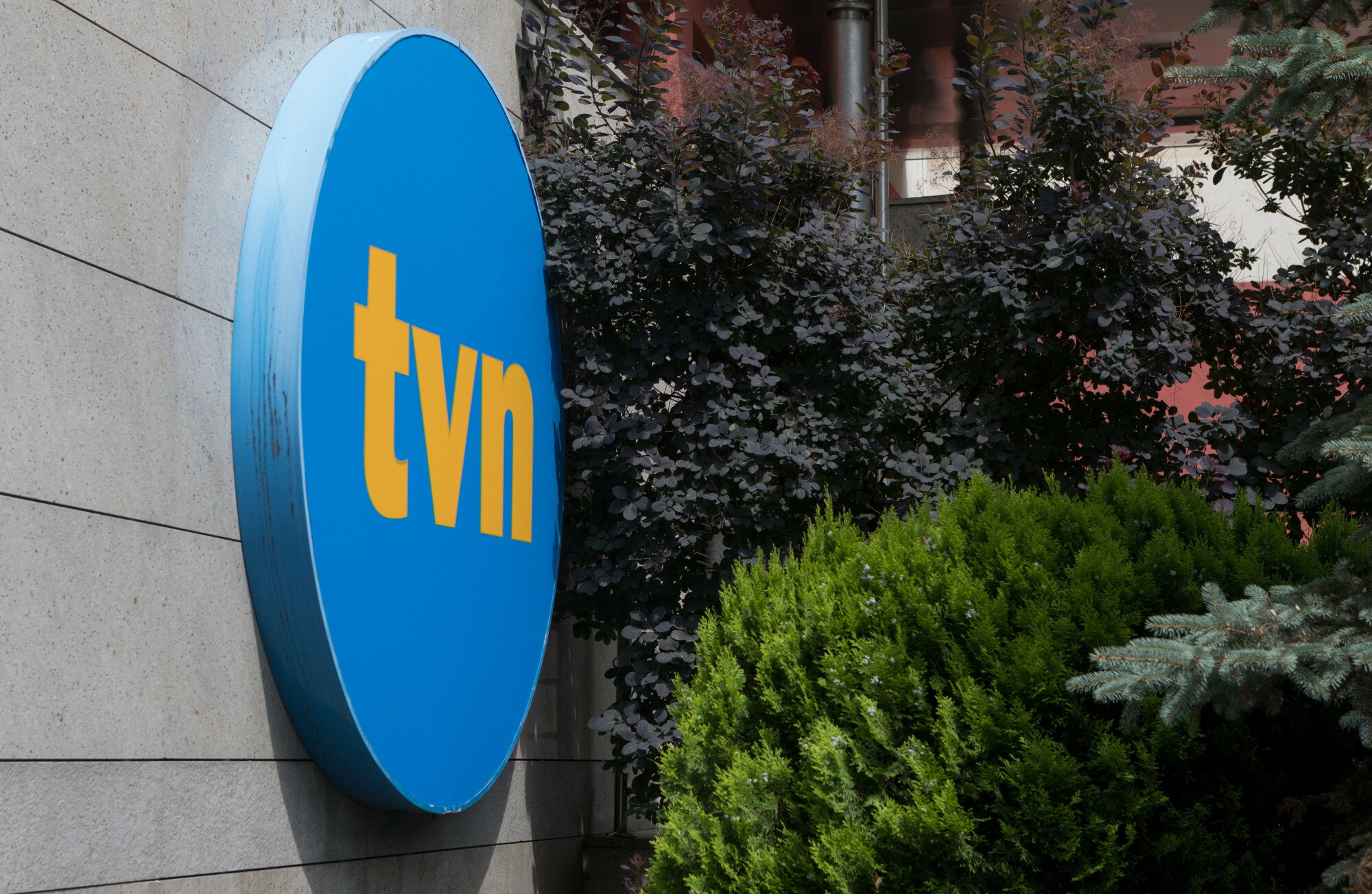 Nowy show TVN