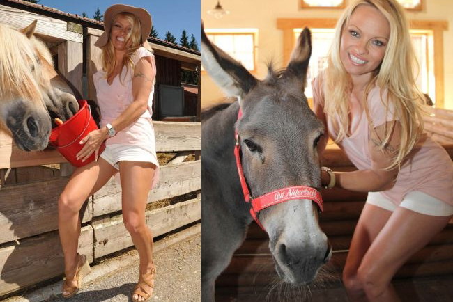 Pamela Anderson karmi zwierzęta