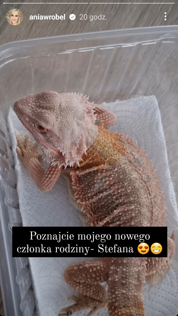 Ania ze Ślubu od pierwszego wejrzenia