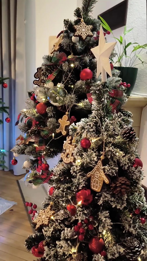 Anita i Adrian ze Ślubu od pierwszego wejrzenia pokazali ozdoby świąteczne w domu