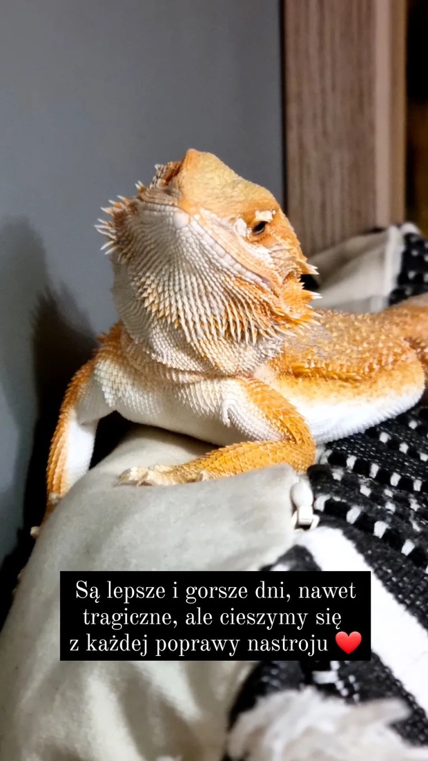 Ania ze Ślubu od pierwszego wejrzenia martwi się o życie swojego pupila