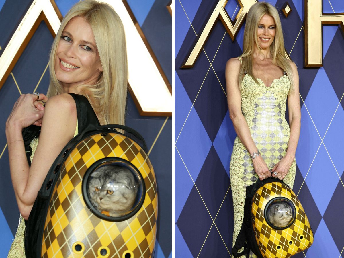 Claudia Schiffer z kotem w plecaku