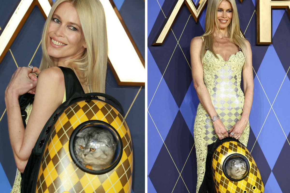 Claudia Schiffer z kotem w plecaku